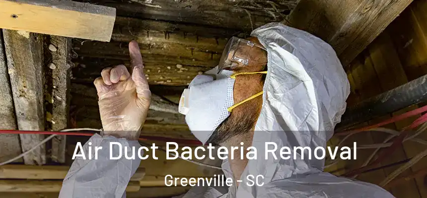  Air Duct Bacteria Removal Greenville - SC