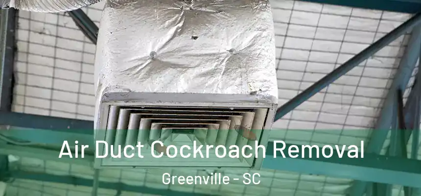  Air Duct Cockroach Removal Greenville - SC