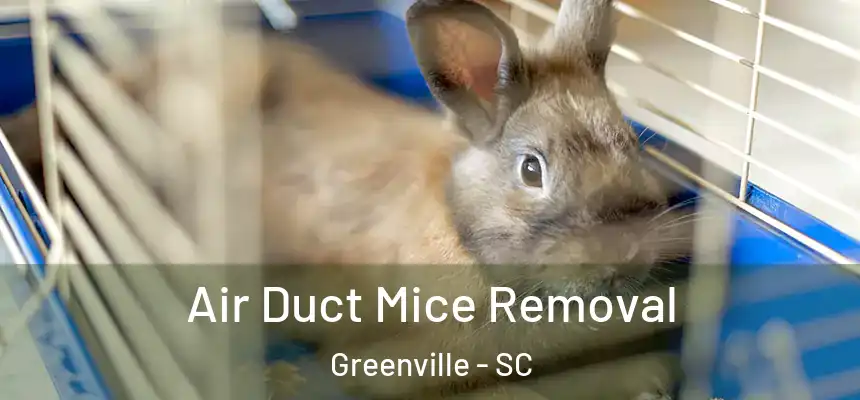  Air Duct Mice Removal Greenville - SC