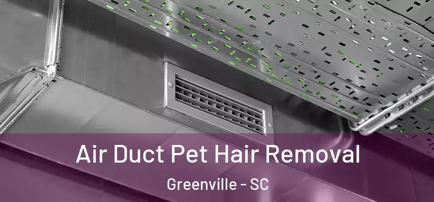  Air Duct Pet Hair Removal Greenville - SC