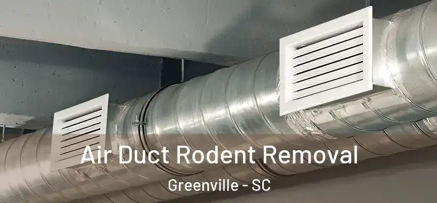  Air Duct Rodent Removal Greenville - SC