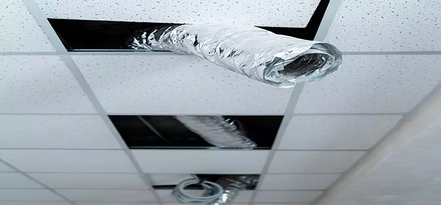 Our Air Duct Pet Hair Removal Services in Greenville, SC