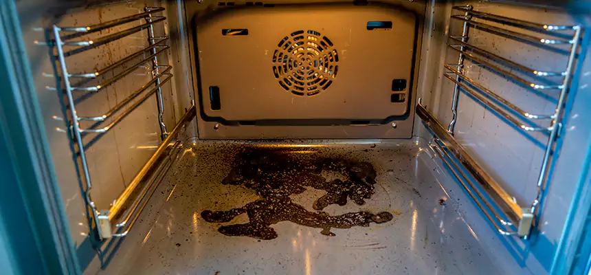 Our Dryer Vent Mold Cleaning Services in Greenville, SC