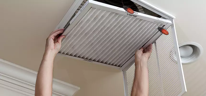 Our Insect Removal from Air Ducts Services in Greenville, SC