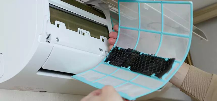 Gentle Ductwork Odor-Control Pet Dander Duct Cleaning in Greenville, SC