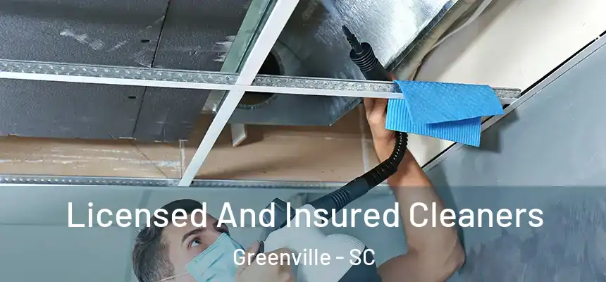  Licensed And Insured Cleaners Greenville - SC