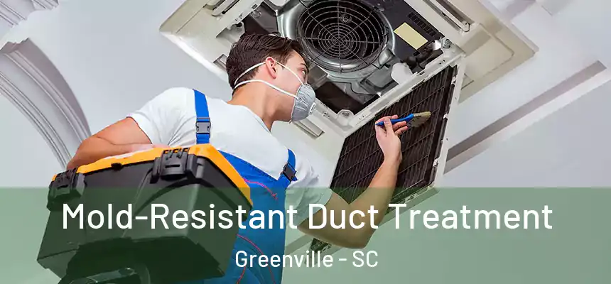  Mold-Resistant Duct Treatment Greenville - SC