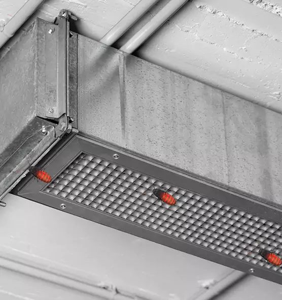 About Air Duct Cockroach Removal in Greenville, SC