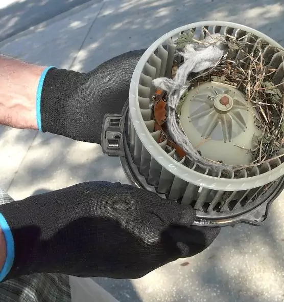 About Air Duct Mice Removal in Greenville, SC