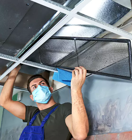 Professional Air Duct Pollen Cleaning in Greenville, SC