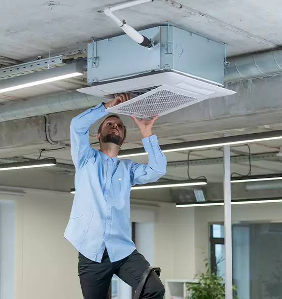 Advanced Rodent Droppings In Vents in Greenville, SC