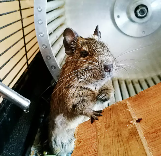 Why Homeowners & Businesses Trust Us Greenville, SC?