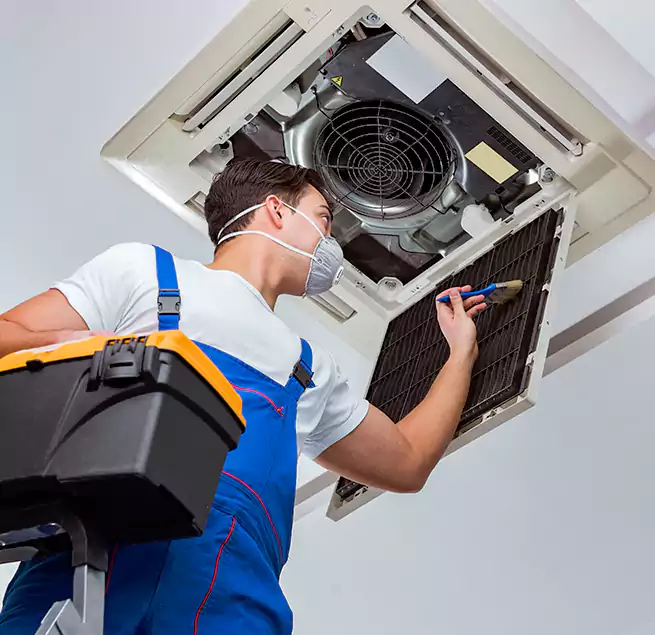 Why Homeowners & Businesses Trust Us in Greenville, SC