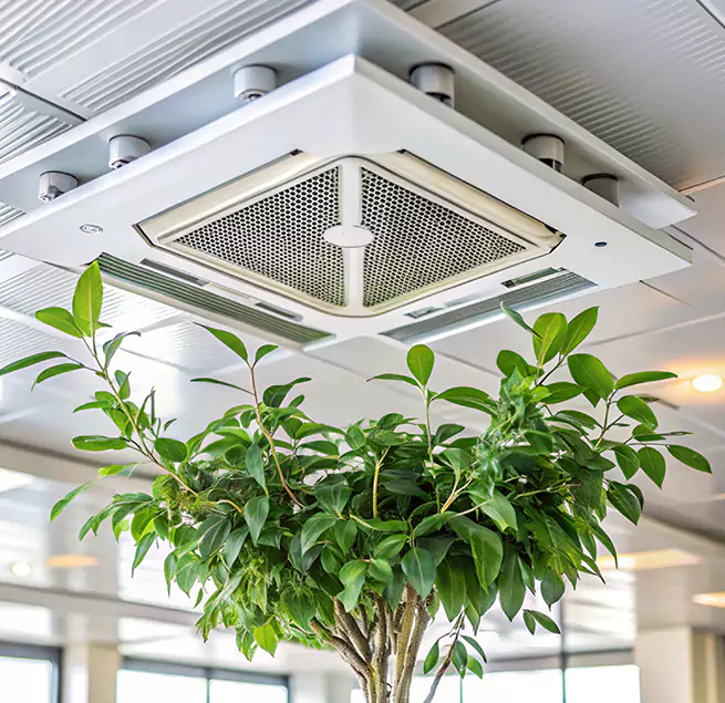 Why Homeowners & Businesses Trust Us in Greenville, SC?