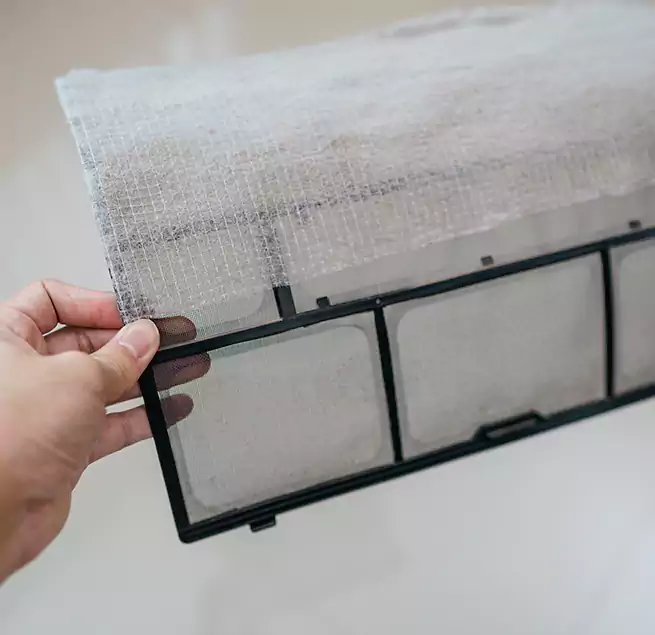 Why Homeowners & Businesses Trust Us in Greenville, SC?